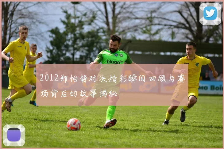 2012郑怡静对决精彩瞬间回顾与赛场背后的故事揭秘