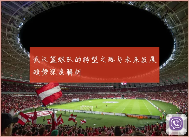 武汉篮球队的转型之路与未来发展趋势深度解析