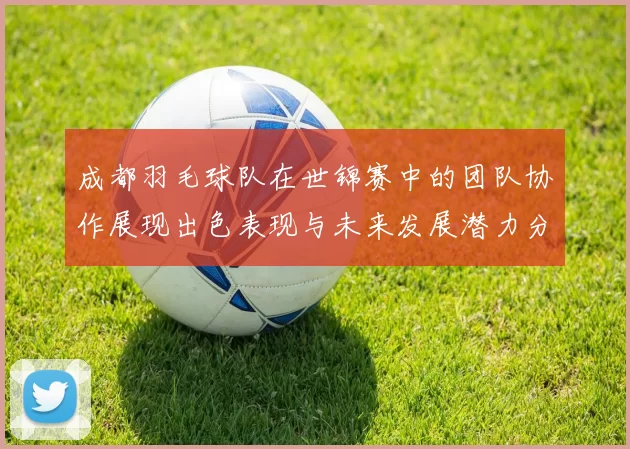 成都羽毛球队在世锦赛中的团队协作展现出色表现与未来发展潜力分析MBA